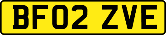 BF02ZVE