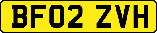 BF02ZVH