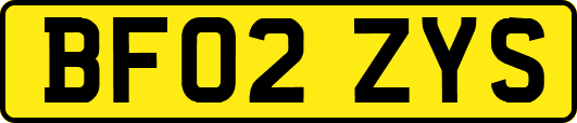 BF02ZYS