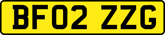 BF02ZZG