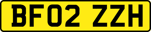 BF02ZZH