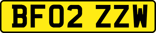 BF02ZZW