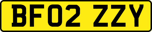 BF02ZZY