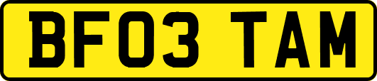 BF03TAM