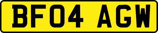 BF04AGW