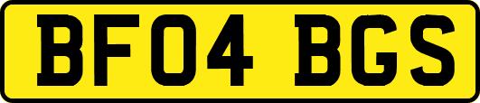 BF04BGS