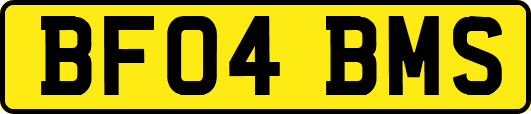 BF04BMS