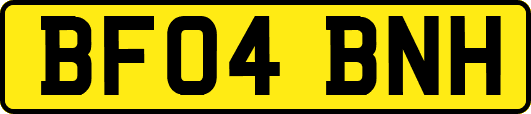 BF04BNH