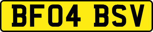 BF04BSV