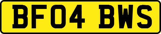 BF04BWS