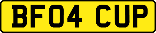 BF04CUP