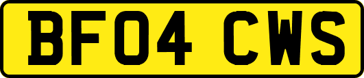 BF04CWS