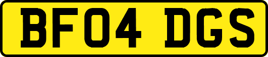 BF04DGS