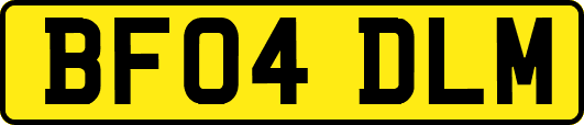 BF04DLM