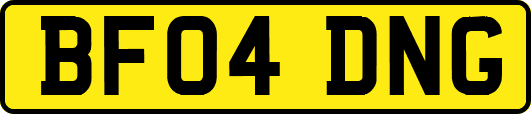 BF04DNG