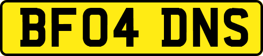BF04DNS