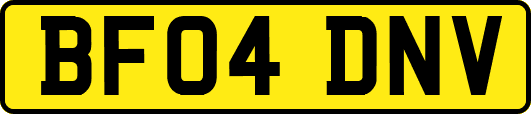 BF04DNV