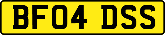 BF04DSS
