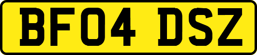 BF04DSZ