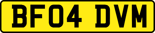 BF04DVM