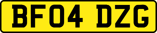 BF04DZG