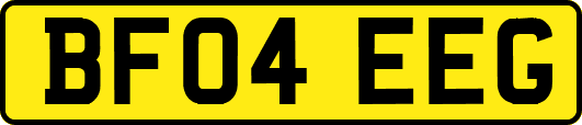 BF04EEG