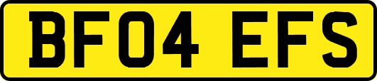 BF04EFS