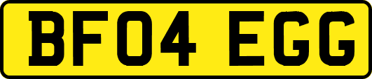 BF04EGG