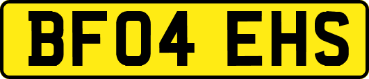 BF04EHS