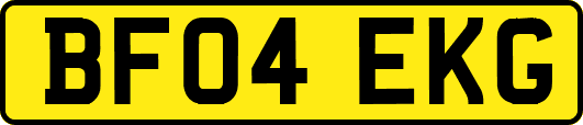 BF04EKG