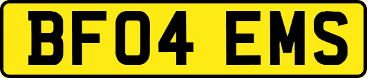 BF04EMS
