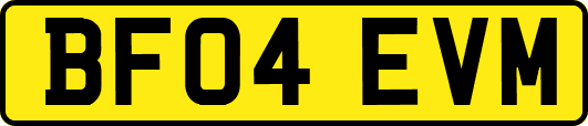 BF04EVM