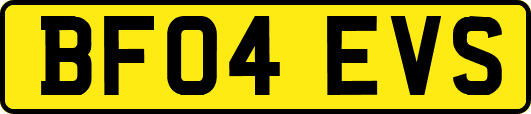BF04EVS