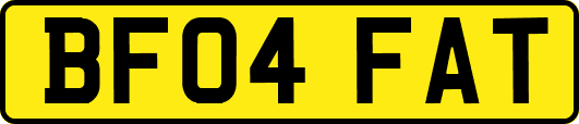 BF04FAT