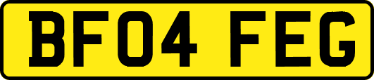 BF04FEG