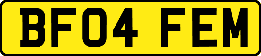 BF04FEM