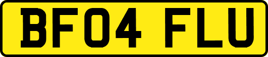 BF04FLU