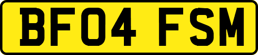 BF04FSM