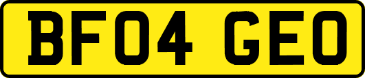 BF04GEO