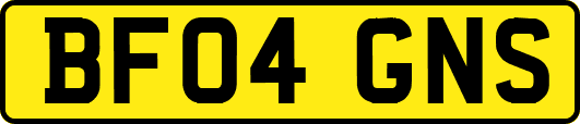 BF04GNS
