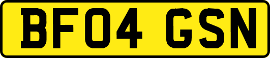 BF04GSN