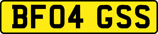 BF04GSS