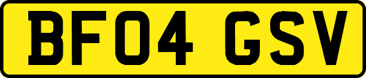 BF04GSV