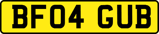 BF04GUB