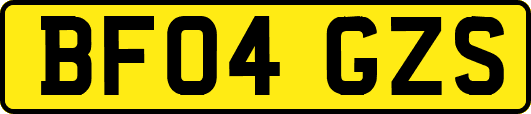 BF04GZS