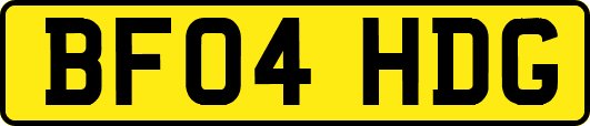 BF04HDG