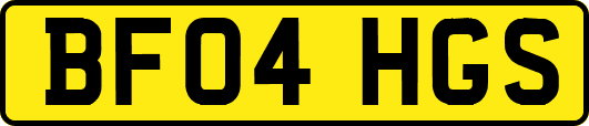 BF04HGS