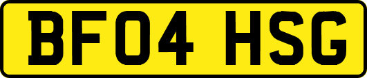 BF04HSG
