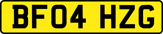 BF04HZG