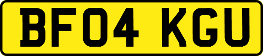 BF04KGU